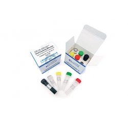 新型冠状病毒2019-nCoV核酸检测试剂盒（荧光PCR法）