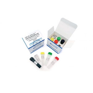 伯杰-新型冠状病毒2019-nCoV核酸检测试剂盒（荧光PCR法）